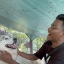 ���������� ������, ���� ������� ������������, 26 ���, ������������ ��� ������