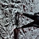 ���������� ���������, ���� ������� �������, 40 ���, ������������ ��� ������, ����� � ���������, c�������� ���������