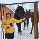 ���������� �������, ���� ������� �������, 70 ���, ������������ ��� ���������