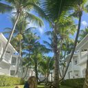 ���������� ������������, ���� ������� ������, 40 ���, ������������ ��� c�������� ���������