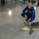 ���������� ������� ��������, ���� ������� ������, 45 ���, ������������ ��� ������, ����� � ���������, c�������� ���������