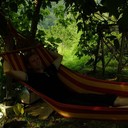 ���������� �������������, ���� ������� ����, 33 ����, ������������ ��� ����� � ���������, c�������� ���������