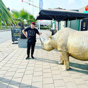 ���������� ������, ���� ������� ������, 38 ���, ������������ ��� ������, ����� � ���������, c�������� ���������, ���������