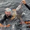 ���������� ������, ���� ������� ��������, 37 ���, ������������ ��� ������, ����� � ���������, c�������� ���������