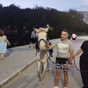 ���������� �������, ���� ����� �������, 25 ���, ������������ ��� ������, ����� � ���������