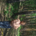  ,   , 53 ,   ,   , c 
