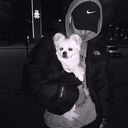 ���������� �������, ���� ������� ������, 38 ���, ������������ ��� ������, ����� � ���������