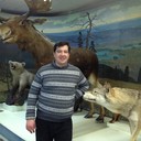  -,   , 53 ,   ,   , c 