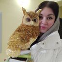  ,   , 36 ,     , c , 