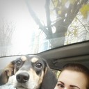 ���������� ���������, ���� ������� ����, 29 ���, ������������ ��� ������, ����� � ���������, c�������� ���������