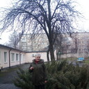  ,   , 53 ,   ,   , c 