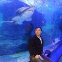  ,   , 38 ,     , c , 