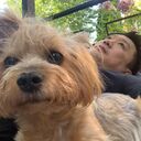  ,   , 55 ,   ,   , c 