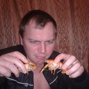 ���������� �����������, ���� ������� �������, 44 ����, ������������ ��� ������, ����� � ���������, c�������� ���������