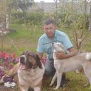 ���������� ������, ���� ������� �������, 41 ���, ������������ ��� ������, ����� � ���������