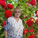  ,   Razilya, 64 ,     , c 