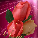  ,   , 56 ,  