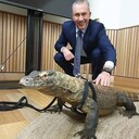 ���������� ������, ���� ������� BenettIsrael, 56 ���, ������������ ��� ������, ����� � ���������, c�������� ���������