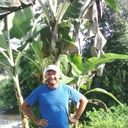  ,   Dimon, 44 ,   ,   , c 