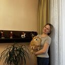 ���������� �����-���������, ���� ������� �����, 49 ���, ������������ ��� ����� � ���������, c�������� ���������