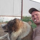  -,   , 39 ,   ,   , c , 