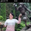 ���������� �����, ���� ������� �������, 51 ���, ������������ ��� c�������� ���������