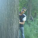  -,   , 37 ,   