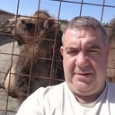 ���������� ���������, ���� ������� ������������, 50 ���, ������������ ��� ����� � ���������, c�������� ���������, ���������