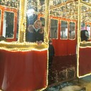 ���������� ������, ���� ������� �������, 36 ���, ������������ ��� c�������� ���������, ���������