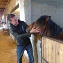 ���������� ������, ���� ������� �������, 41 ���, ������������ ��� ������, ����� � ���������