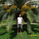  ,   , 62 ,     