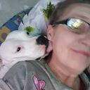 ���������� �����-���������, ���� ������� �����, 60 ���, ������������ ��� ����� � ���������, c�������� ���������