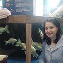 ���������� ����, ���� ������� Tes, 81 ���, ������������ 