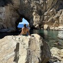 ���������� ��������, ���� ������� ������, 35 ���, ������������ ��� ������, ����� � ���������, c�������� ���������