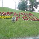 ���������� ������, ���� ������� ������, 43 ����, ������������ ��� ������, ����� � ���������, c�������� ���������, ���������