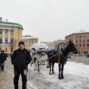 ���������� ��������, ���� ������� ����, 40 ���, ������������ ��� ������, ����� � ���������, c�������� ���������, ���������