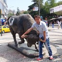  ,   Adilet, 36 ,     , c 