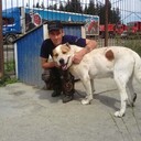 ���������� �������, ���� ������� ��������, 50 ���, ������������ ��� ������, ����� � ���������