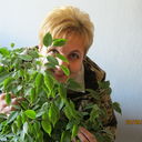 ���������� �������, ���� ������� �����, 55 ���, ������������ 