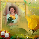 ���������� �����������, ���� ������� ����, 66 ���, ������������ ��� c�������� ���������