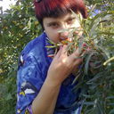  ,   , 37 ,     , c 