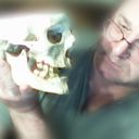  ,    , 56 ,  