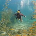 ���������� ����������, ���� ������� Natalia, 50 ���, ������������ ��� c�������� ���������