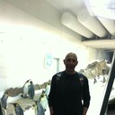 ���������� ������, ���� ������� ������, 55 ���, ������������ ��� ������, ����� � ���������, c�������� ���������