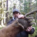 ���������� ������, ���� ������� ����, 36 ���, ������������ ��� ������, ����� � ���������, c�������� ���������