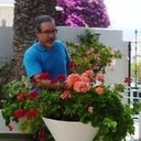  ,   David, 66 ,   ,   , c 