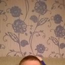 ���������� �����-���������, ���� ������� �������, 29 ���, ������������ ��� ������