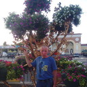  ,   , 51 ,   , 