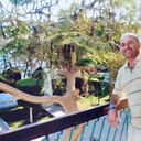 ���������� ����, ���� ������� ��������, 50 ���, ������������ ��� ����� � ���������, c�������� ���������