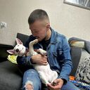 ,   , 33 ,   ,   